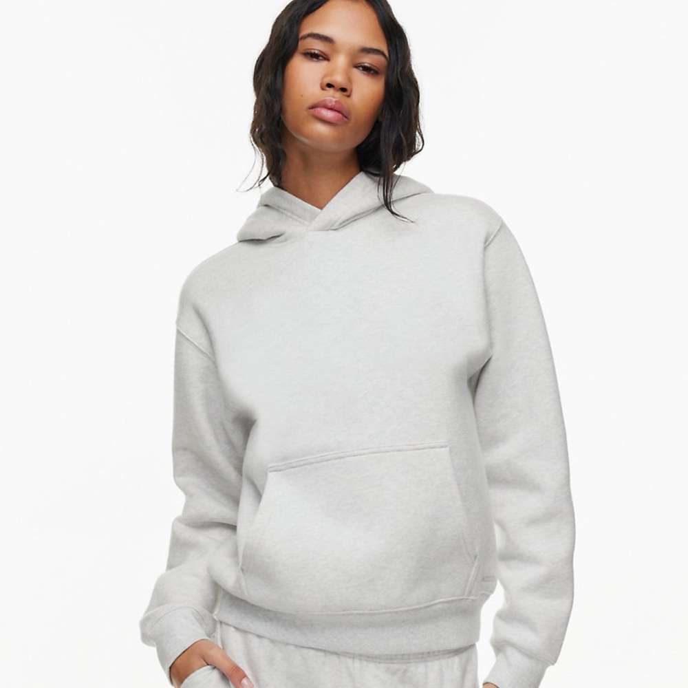 ARITZIA TNA SWEATFLEECE COZY FLEECE PERFECT HOODIE🤍🩶